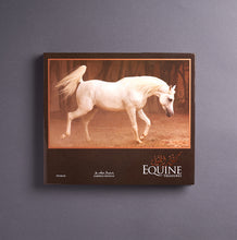 Load image into Gallery viewer, EQUINE TREASURES
