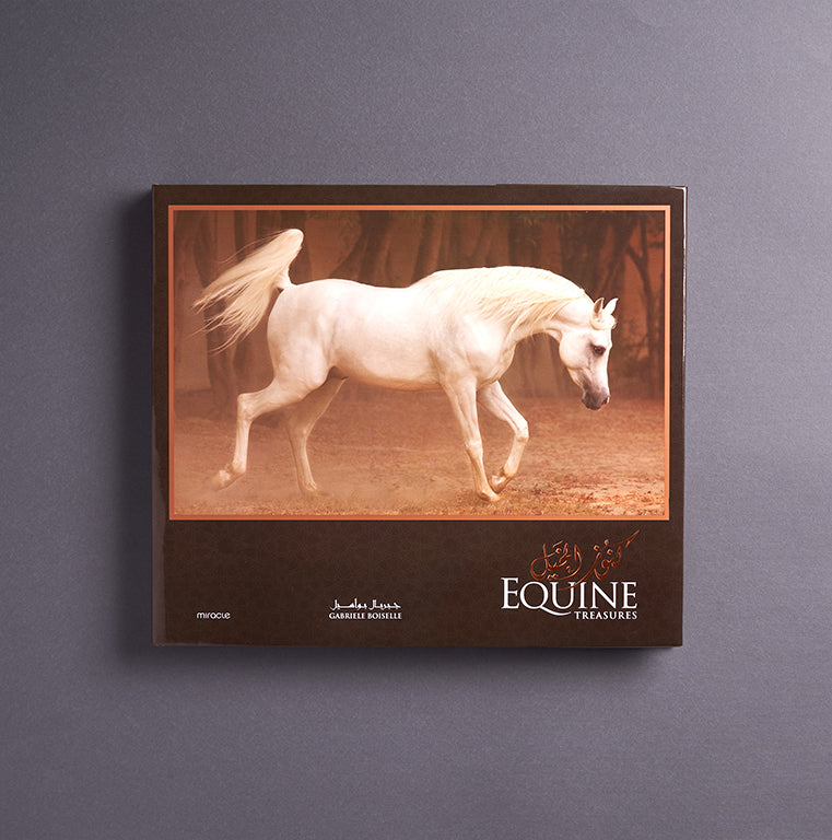 EQUINE TREASURES